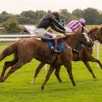 ニュージーランドの競馬場