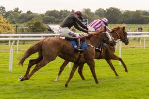 ニュージーランドの競馬場