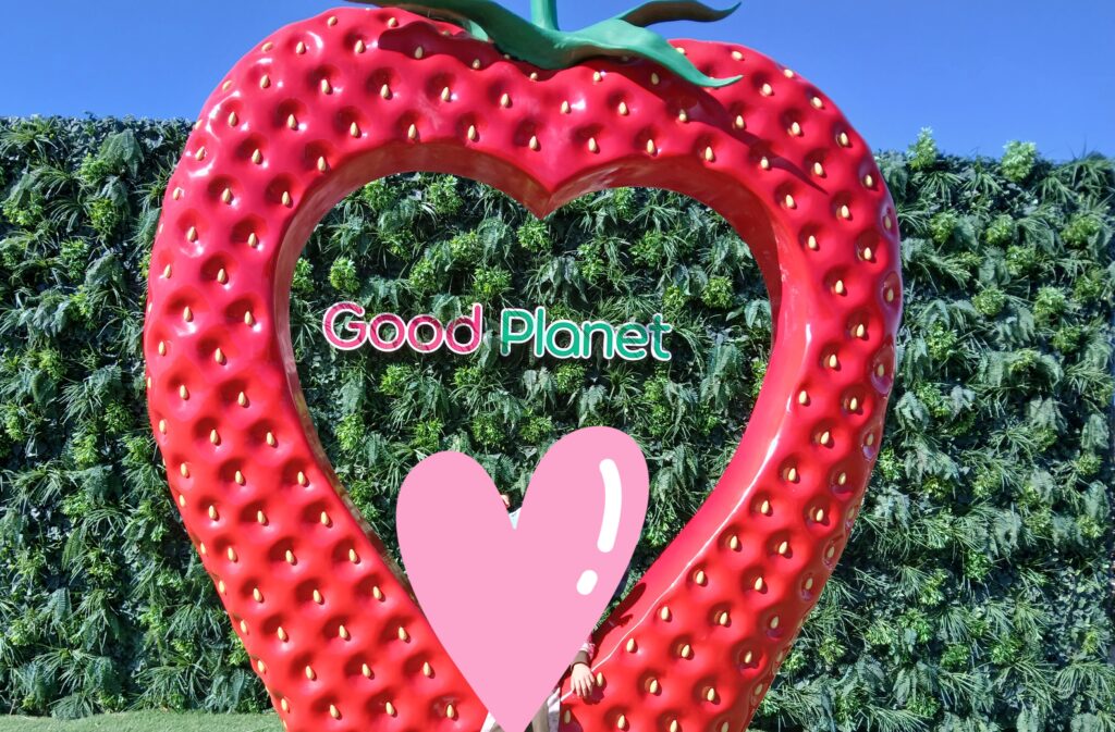 GoodPlanetでの苺狩り