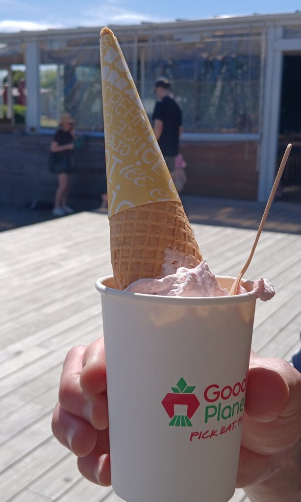 GoodPlanetでの苺狩り