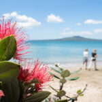 【地元の人が本当にやってる！】NZの夏はこう楽しむ！留学中に体験したい「BBQとビーチ」のリアルな遊び方