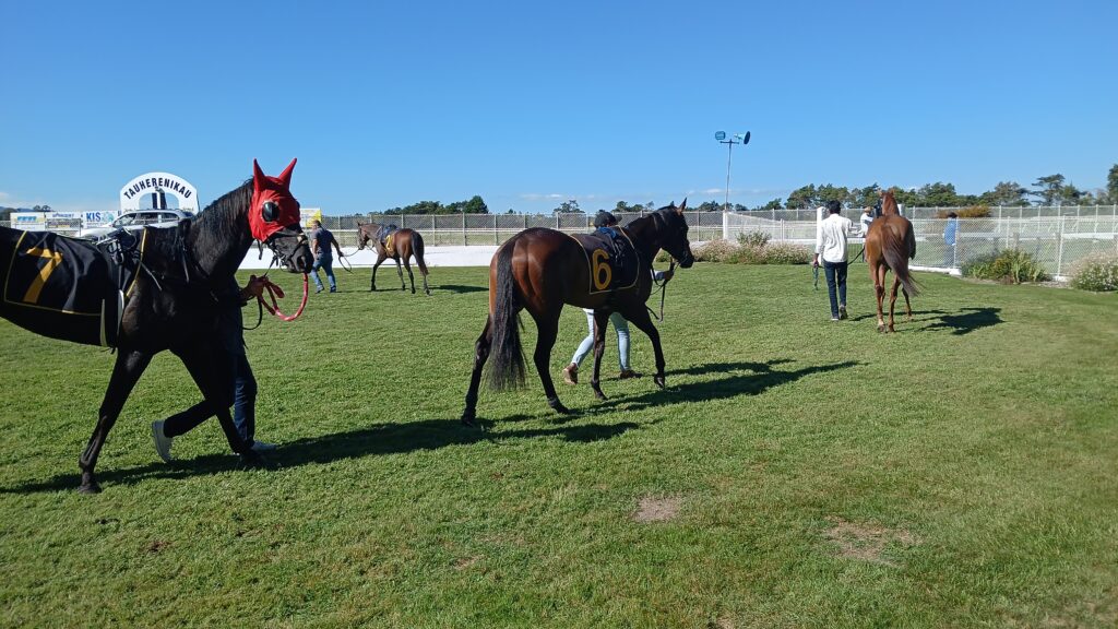ウェリントン日記
