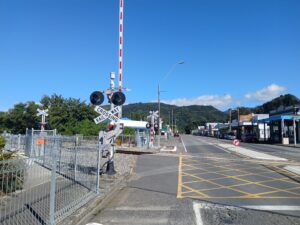 ウェリントン日記