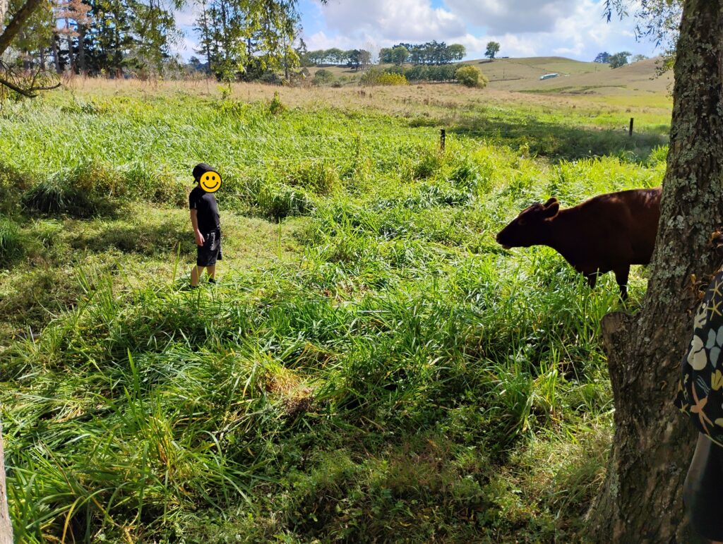 2026年春ファームステイ第1期親子