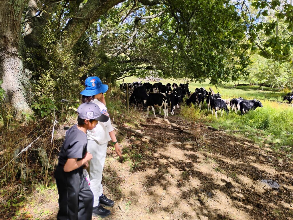 2026年春ファームステイ第2期