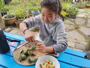 ニュージーランドの秋を満喫！春休みファームステイ第二期スタート