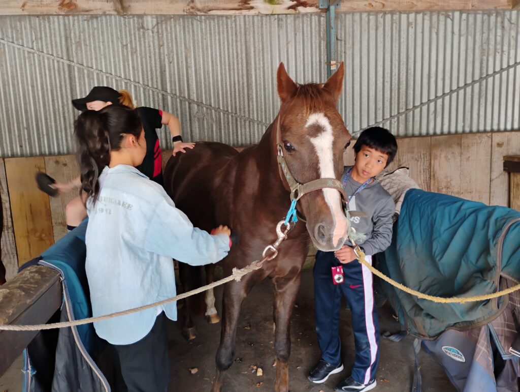 2026年春ファームステイ第2期