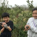 続・ニュージーランドの秋を満喫！春休みファームステイ第二期レポート