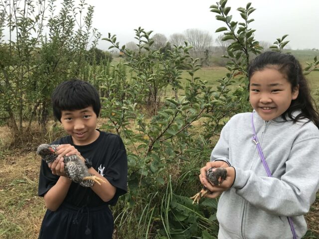 続・ニュージーランドの秋を満喫！春休みファームステイ第二期レポート