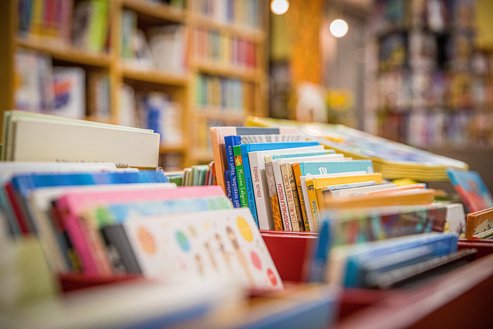ニュージーランドの図書館が想像以上に便利すぎた！