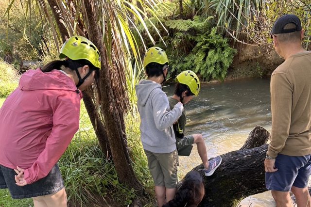 ファームステイ