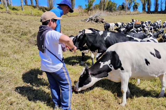 ファームステイ2025春