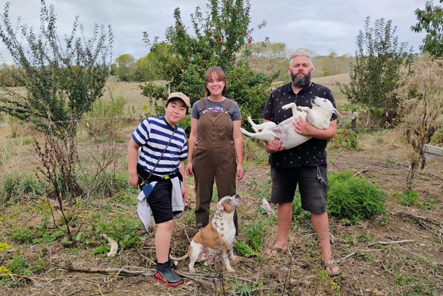 ファームステイ2025春